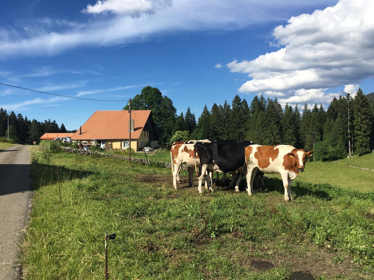 La Dernier Villa La Côte-aux-Fées Eksteriør bilde